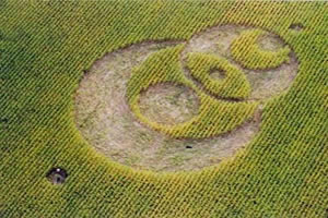USA: Investigan círculos del maíz en Ohio